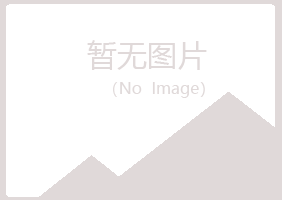 中山夏岚服务有限公司